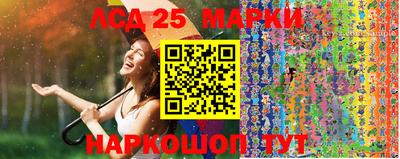 индика Апшеронск